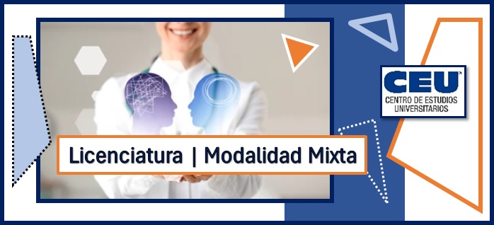 TEMPLATE MATERIAS MODALIDAD MIXTA CIFRHS - MATERIAMOMIX01MASTER