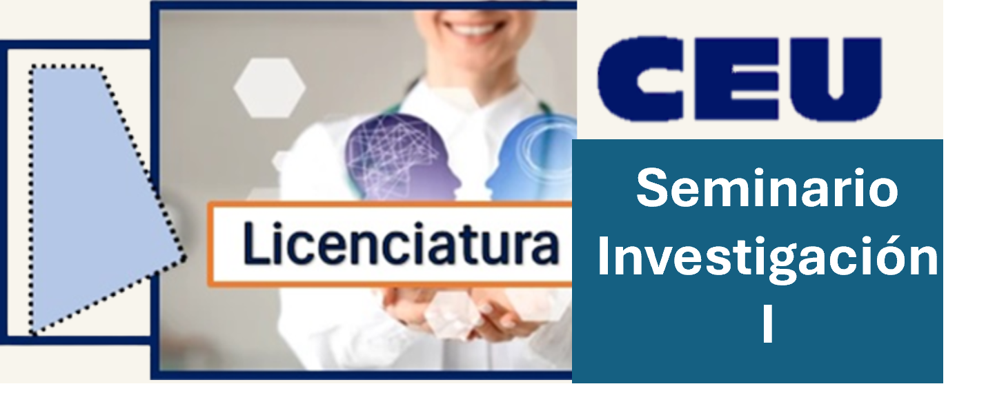 SEMINARIO DE INVESTIGACION I - SN106_MCO25_8o
