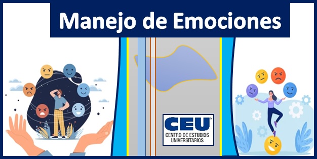 MANEJO DE EMOCIONES - MDE03MASTER